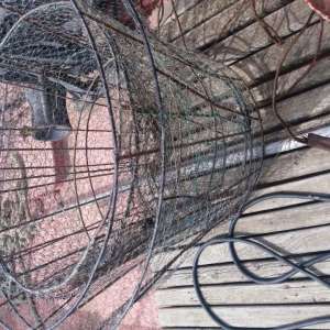 Brăileni cercetaţi pentru braconaj piscicol