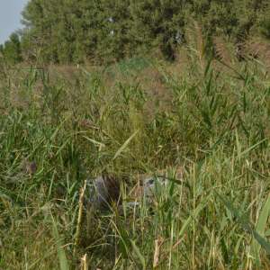 Ţigări de contrabandă, descoperite la frontieră