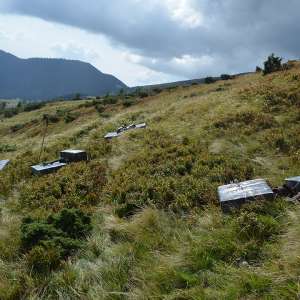 Țigări în valoare de peste 140.000 lei confiscate la frontiera de nord