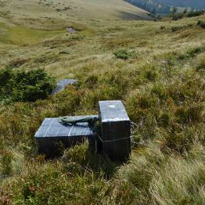 Țigări în valoare de peste 140.000 lei confiscate la frontiera de nord