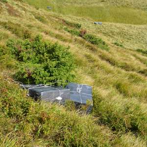 Țigări în valoare de peste 140.000 lei confiscate la frontiera de nord