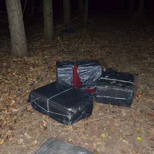 Peste 24.000 pachete țigări confiscate la frontiera de nord