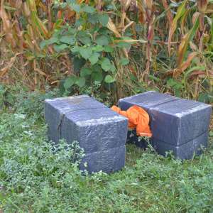 Peste 7.500 pachete țigări confiscate la frontiera de nord