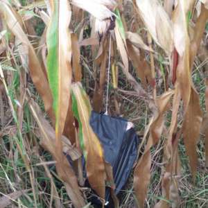 Contrabandă cu drona la frontiera de nord