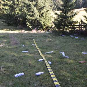 Aproximativ 30.000 pachete țigări confiscate la frontiera de nord