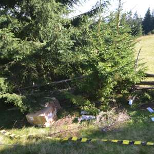 Aproximativ 30.000 pachete țigări confiscate la frontiera de nord