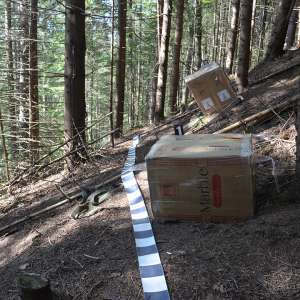 Aproximativ 8.000 pachete de țigări confiscate la frontiera de nord