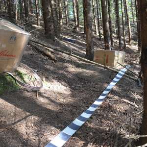 Aproximativ 8.000 pachete de țigări confiscate la frontiera de nord