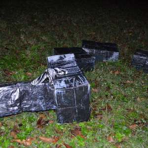 Aproximativ 8.000 pachete de țigări confiscate la frontiera de nord