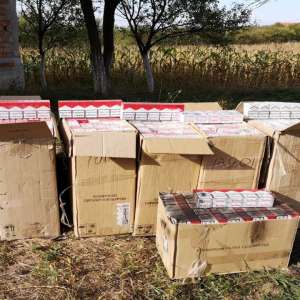 Țigări în valoare de 33.600 lei confiscate la frontiera de nord