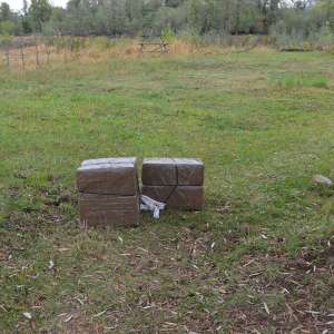 Peste 8.500 pachete țigări confiscate la frontiera de nord