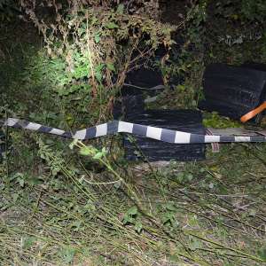 Aproximativ 13.000 de pachete cu țigări confiscate la frontiera de nord