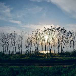 Vama Veche –boemă, nonconformistăși nemuritoare