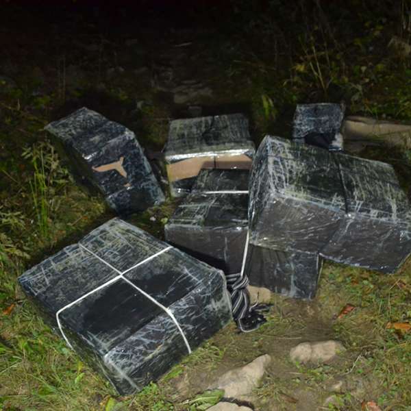 Aproximativ 8.500 de pachete cu țigări, confiscate la frontiera de nord