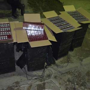 Aproximativ 8.500 de pachete cu țigări, confiscate la frontiera de nord