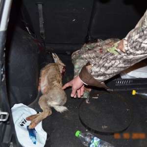 Trei braconieri depistaţi în zona de responsabilitate