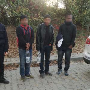 Trei cetățeni din Bangladesh, depistați în timp ce încercau să treacă fraudulos frontiera