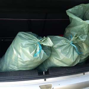 Peste 70 kg peşte fără documente legale, confiscate de poliţiştii de frontieră tulceni