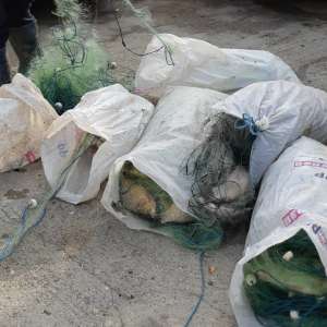 Aproximativ 100 kg peşte fără documente legale și plase monofilament, confiscate de poliţiştii de frontieră