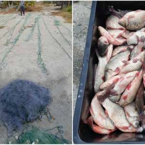 Aproximativ 100 kg peşte fără documente legale și plase monofilament, confiscate de poliţiştii de frontieră