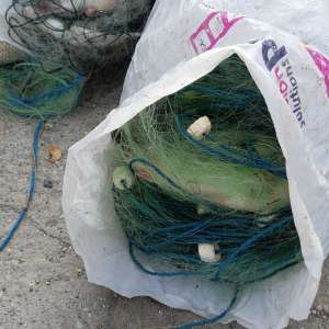 Aproximativ 100 kg peşte fără documente legale și plase monofilament, confiscate de poliţiştii de frontieră