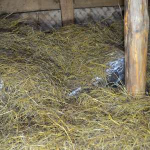 Țigări în valoare de peste 430.000 lei, descoperite la frontieră