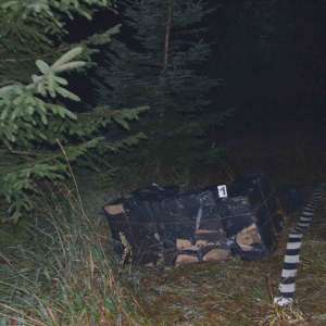 Aproximativ 8.000 de pachete cu țigări, confiscate la frontiera de nord