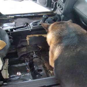 Peste 4.900 pachete cu țigări confiscate atât în Punctul de Trecere a Frontierei Siret, cât și la frontiera „verde”