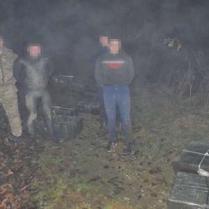 Doi contrabandişti ucraineni reţinuţi şi peste 18.000 de pachete cu țigări de contrabandă descoperite la frontieră