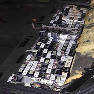 Câinele Roba a depistat țigări de contrabandă în P.T.F. Albița