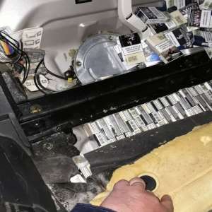 Câinele Roba a depistat țigări de contrabandă în P.T.F. Albița