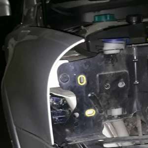 Câinele Roba a depistat țigări de contrabandă în P.T.F. Albița