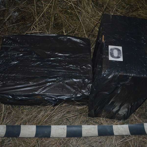 Cetățean ucrainean reținut în timp ce încerca să introducă ilegal în România mai multe colete cu țigări de contrabandă