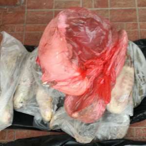 Peşte confiscat de poliţiştii de frontieră de la Berzasca