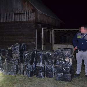 10.000 pachete cu țigări, confiscate la frontiera de nord