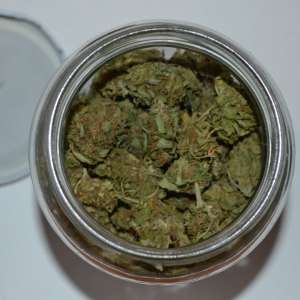 Stupefiante şi ţigări descoperite în urma unor percheziţii domiciliare efectuate de polițiștii de frontieră