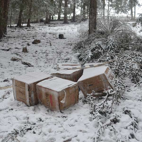 Aproximativ 16.000 de pachete cu țigări confiscate la frontiera de nord
