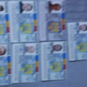 Cărţi de identitate false ascunse în pantofi,descoperite la controlul de frontieră