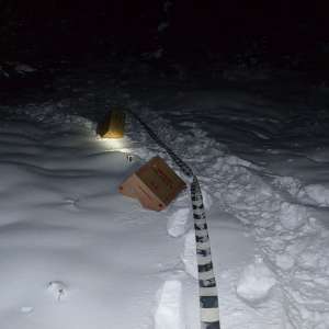 Aproximativ 5.000 de pachete cu țigări, descoperite la frontiera de nord