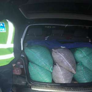 Contrabandă cu miez de nucă