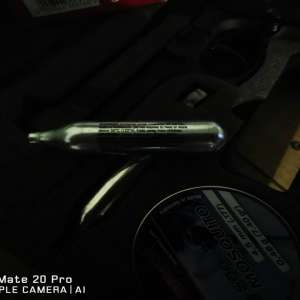 Armă cu aer comprimat şi muniţia aferentă, depistate în Vama Albiţa