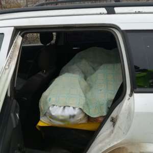 Peste 300 kg peşte fără documente legale, confiscate de poliţiştii de frontieră