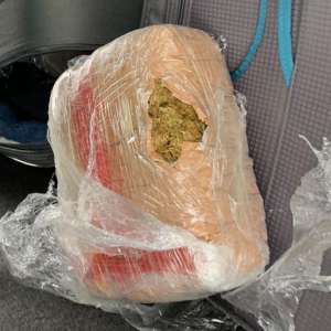 12 kilograme de canabis descoperite de poliţiştii de frontieră de la P.T.F. Giurgiu, în bagajele unui cetăţean grec