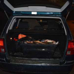 Peşte confiscat de poliţiştii de frontieră  din cadrul S.P.F. Moldova Veche