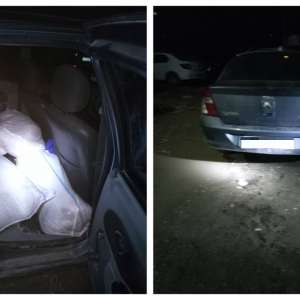 200 kg peşte fără documente legale, confiscate de poliţiştii de frontieră constănțeni
