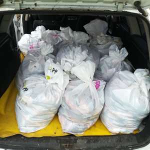 Peste 300 kg peşte fără documente legale, confiscate de poliţiştii de frontieră