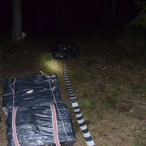 Peste 25.500 de pachete cu țigări de contrabandă, confiscate la frontiera de nord