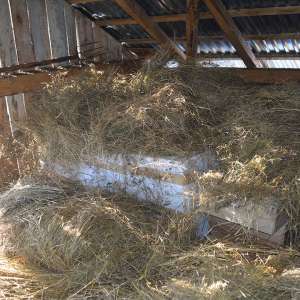 Peste 25.500 de pachete cu țigări de contrabandă, confiscate la frontiera de nord