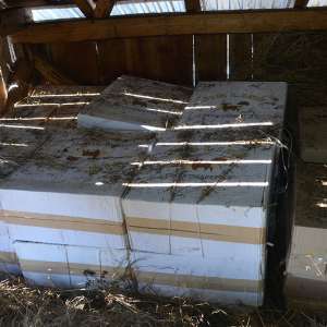 Peste 25.500 de pachete cu țigări de contrabandă, confiscate la frontiera de nord