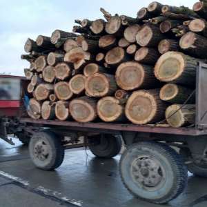 Tractor cu remorcă neînmatriculată, depistat în trafic de polițiștii de frontieră brăileni